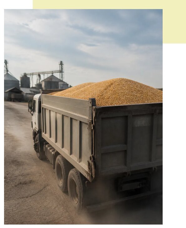 Перевозка сельхозпродукции навалом в Когалым по цене от 3101 р. | Агросервис-Кгл