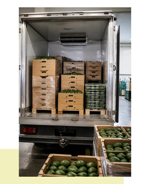 Перевозка авокадо в Когалым с соблюдением температурного режима